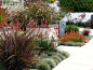 Contemporary Landscape by debora carl landscape design