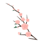 梅花枝