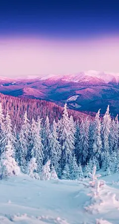 最喜欢的壁纸第3部分：风景/动物 -  Imgur上的专辑  壁纸 wallpapers