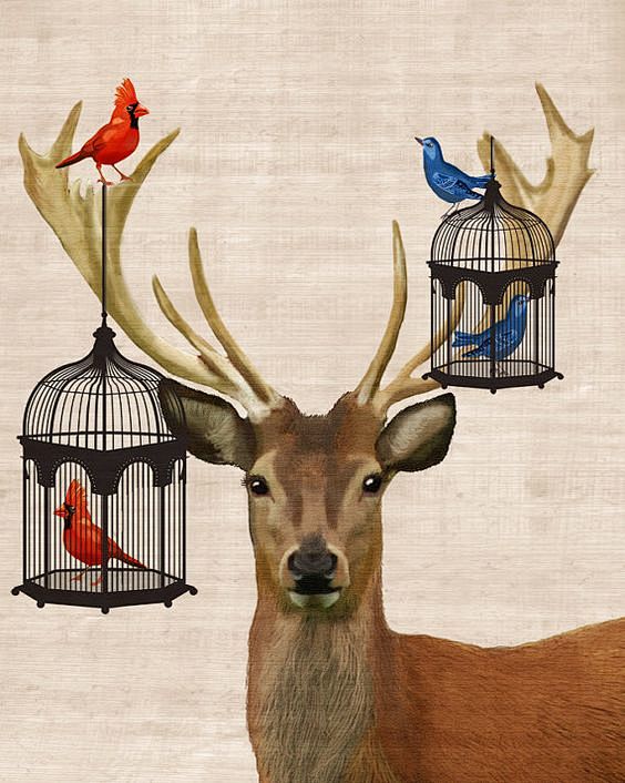 Deer Bird Cages 14x1...
