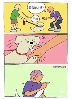 梗图-花瓣网