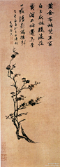 明 唐寅 《梅花图》--- 图绘折枝墨梅，自题七言诗一首：“黄金布地梵王家，白压成林腊后花，对酒不妨还弄墨，一枚清影写横斜。”北京故宫藏。(1193×3308)
