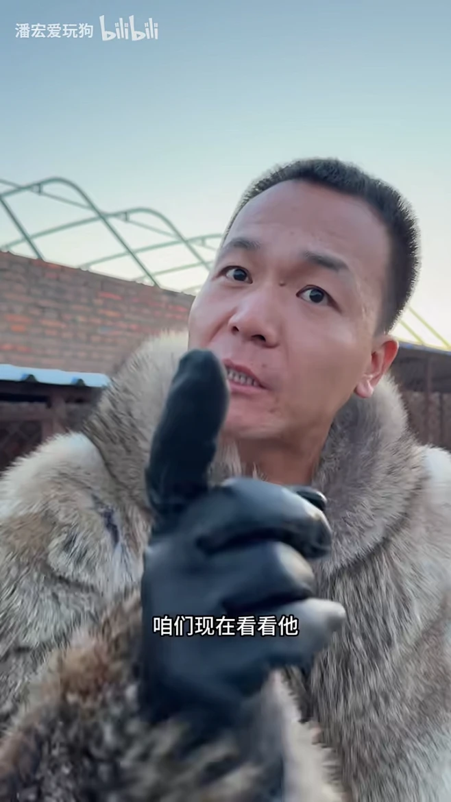 潘宏爱玩狗-潘宏爱玩狗-潘宏爱玩狗-哔哩哔哩视频-花瓣网