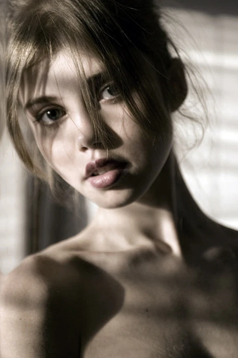 摄影内的花瓣采集图片-冫䲨yu湖芯