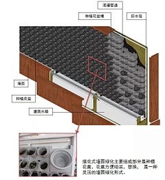 悠舞空灵采集到植物墙