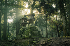 晴天(⊙0⊙)采集到场景参考(照片)