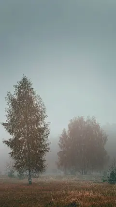 秋色唯美意境高清苹果手机壁纸