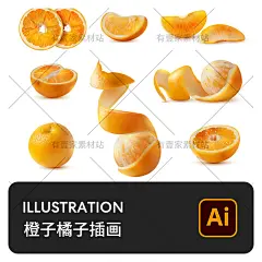 手绘逼真橘子橙子柠檬柑橘桔子橙汁水果装饰插画AI矢量设计素材-淘宝网
