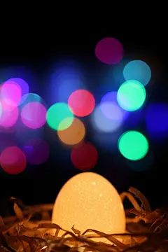 梦幻，光斑，夜晚，鸟巢，美食，好看的壁纸，傍晚，唯美，鸡蛋，高清素材，发光体，蛋白质，圆点，食物，图片，818A6913 – 饿狐背景网站-微距高清设计素材免费图片下载海报壁纸摄影背景素材，背景图，背景墙，背景板，背景图片，背景纹理，背景板设计，背景材质，背景大图