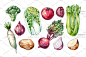 cm251|手绘绿色蔬菜水果美食餐厅菜单海报水彩PNG免扣设计素材-淘宝网