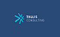 Consulting Logotype star corporate management strategy Consulting Firm