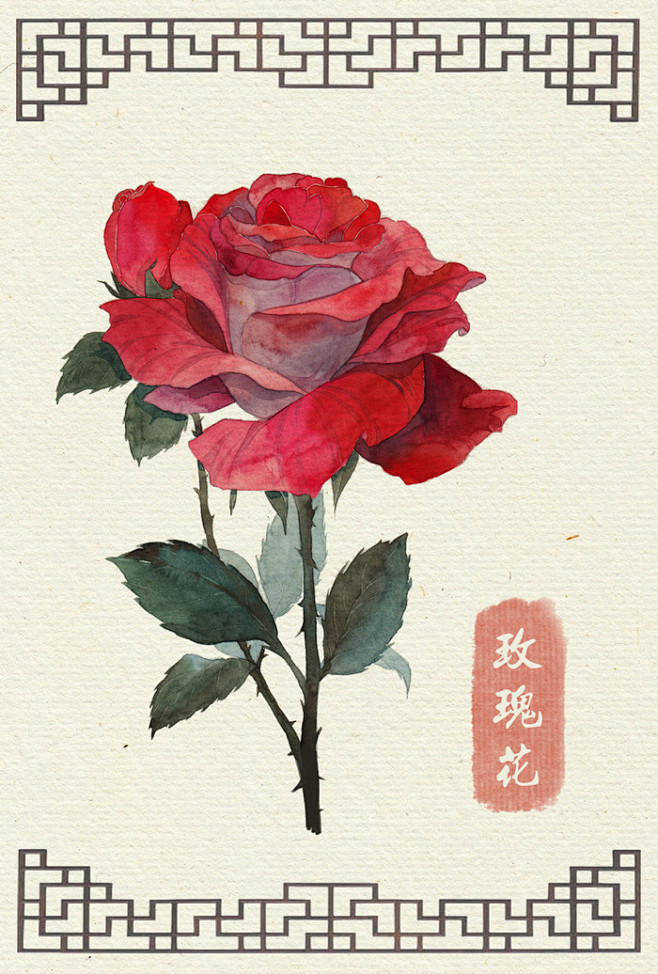 水彩手绘花卉- 玫瑰   插画：阿昕