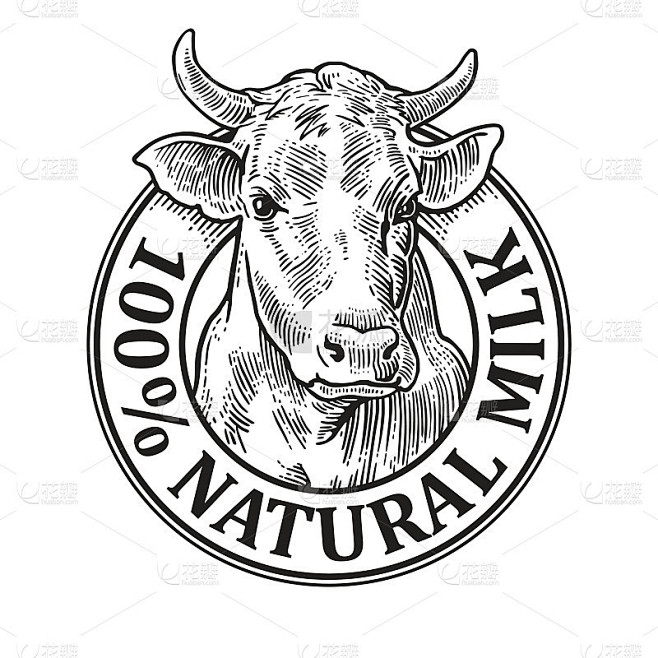 牛的头。100%天然牛奶。古董向量雕刻