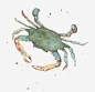 一只手绘青蟹高清素材 动物 小清新 水彩 食物 免抠png 设计图片 免费下载