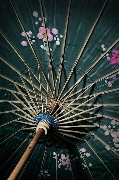 江南雨古巷韵绸缪油纸伞中凝怨黛丁香花下湿清眸幽梦一帘收