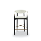 Kashi Barstool or Counter Stool.jpg