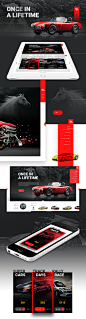 Racing School Template : The Racing School Template is our first venture into template design. We wanted to have fun and make something high end with clean images. This template is for sale. Please contact us at info@jablonskimarketing.com if you are inte