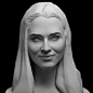 Amanda Seyfried, Zhanhua Liang : Portrait Study wip...