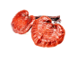 中药 药材灵芝
