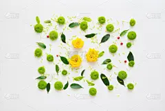 菊花,花瓣,式样,玫瑰,贺卡,背景分离,边框,玻璃杯,浪漫,铅笔