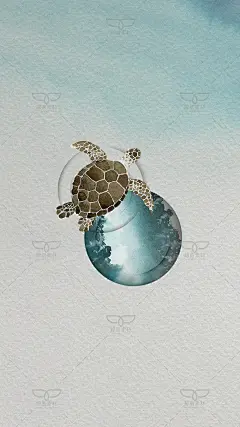 清新手绘水彩海洋生物虎鲸鱼海豚海豹海龟海鸥企鹅背景图PSD素材-淘宝网