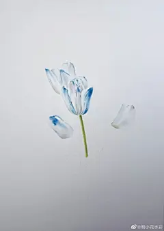 水彩---教程 - 高清图片，堆糖，美图壁纸兴趣社区