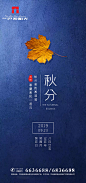 秋分节气海报