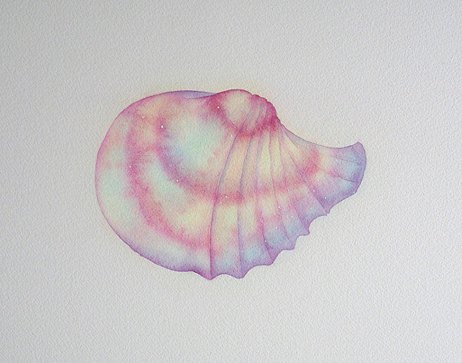 手绘水彩星空彩虹荧光渐变贝壳插画