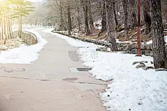 雪,步行道路,季节,冬天,早晨,背景,派克大街,风景,壁纸,秘密