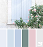 Design Seeds : Design Seeds color palettes ... posted daily for all who love color.