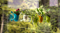 Livi planter，花盆，便携，创意，产品设计， 工业设计，产品设计，普象网