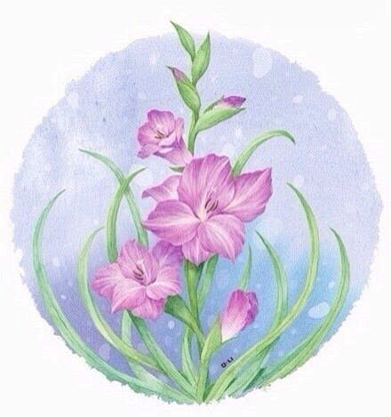 漂亮的手绘花朵插画 -