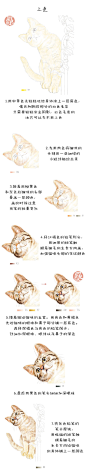 #飞乐鸟的周末绘时光# 对什么都好奇的猫咪最好玩啦！