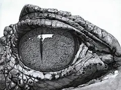 Eye Of The Caiman by PunkyMeadows