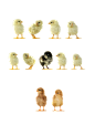 d9bf744fdf4328c529c90fb38140ab12