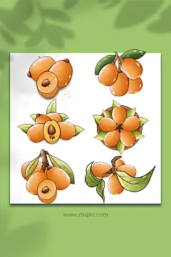 手绘卡通枇杷水果元素插画