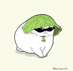 猫咪迷惑行为大赏！这40个猫咪的爆笑瞬间，每一张都是表情包哈哈哈哈 (33)