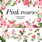 水彩手绘PNG免抠高清粉色玫瑰花卉花朵图片卡片设计美化装饰素材-淘宝网