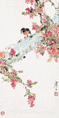 江寒汀 花鸟欣赏