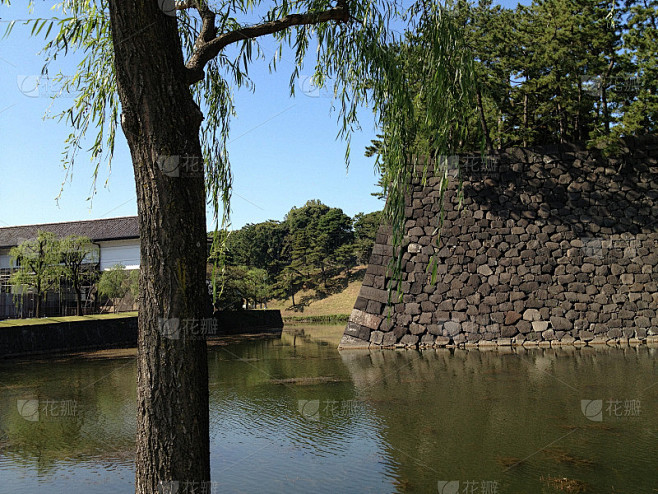 东京的公园，夏天