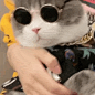 $H}OSN2BEW5EK5H3SB`PE)S