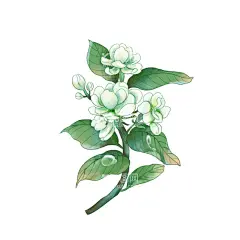 国潮手绘花草  - 源文件下载【酷图网】小花花,小花,手绘花朵,紫色小花,紫色花朵,花草,花朵素材,简单小花,设计,国潮手绘花草