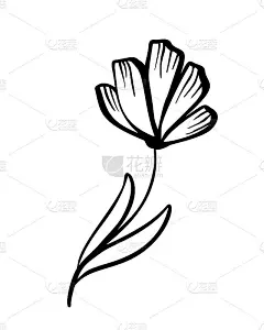手绘矢量复古花元素-月桂叶花漩涡和羽毛。野生和自由。完美的邀请贺卡，引用博客，婚礼框架，海报
