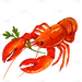 手绘-小龙虾美食元素贴纸4