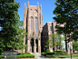 图片：College Admissions Blog | Ivy League Admission with Ivy Coach : 在 Google 上搜索到的图片（来源：ivycoach.com）