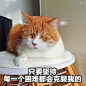 @著名网黄猫日 ​​​​