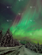 极光,费尔班克斯,北极光,阿拉斯加,垂直画幅,无人,2015年,摄影