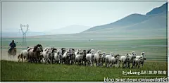 【行摄西域】  额尔敦·巴雅尔的牧场, 闻路旅游攻略