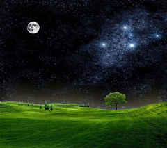 悠然阑珊采集到星空、夜空