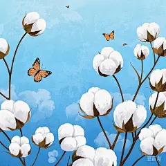 绘制相似棉花插画-7